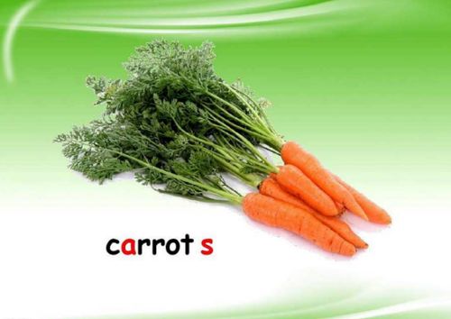 胡萝卜英语怎么说(胡萝卜英语怎么说carrots)