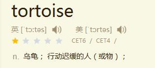 乌龟英语怎么读tortoise(乌龟英语怎么读tortoise发音)