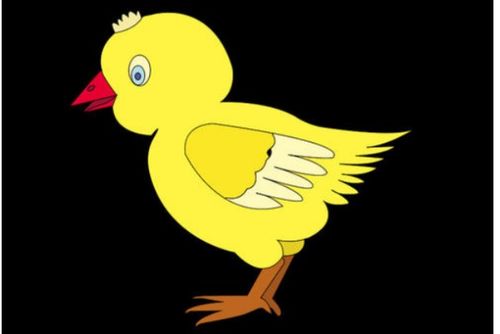 chick的复数(chick的复数是chicken吗) chick的复数(chick的复数是chicken吗)