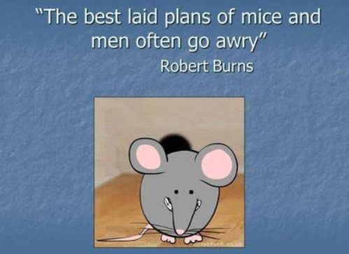 老鼠的单词怎么写(老鼠的单词怎么写复数)