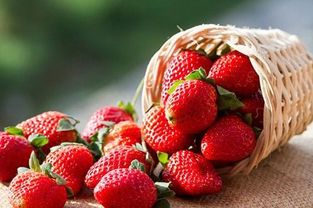 strawberry的复数形式(strawberry的复数形式怎么写是什么意思)