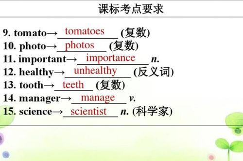 him的复数形式(him的复数形式是什么)