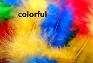 color形容词形式(color形容词形式怎么写) color形容词形式(color形容词形式怎么写)