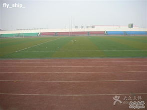 操场英语怎么读playground(操场英语怎么读playground复数) 操场英语怎么读playground(操场英语怎么读playground复数)