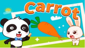 胡萝卜英语怎么读(胡萝卜英语怎么读carrots) 胡萝卜英语怎么读(胡萝卜英语怎么读carrots)