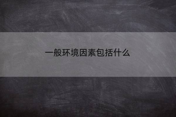 一般环境因素包括什么 一般环境因素包括什么