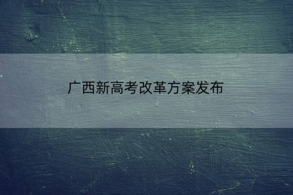 广西新高考改革方案发布 广西新高考改革方案发布会