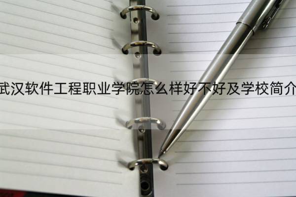 武汉软件工程职业学院怎么样好不好及学校简介 武汉软件工程职业学院怎么样-