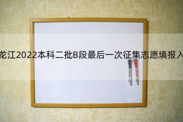 黑龙江2022本科二批B段最后一次征集志愿填报入口 2021黑龙江省本科二批征集志愿