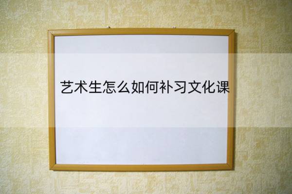 艺术生怎么如何补习文化课 艺术生怎么学好文化课