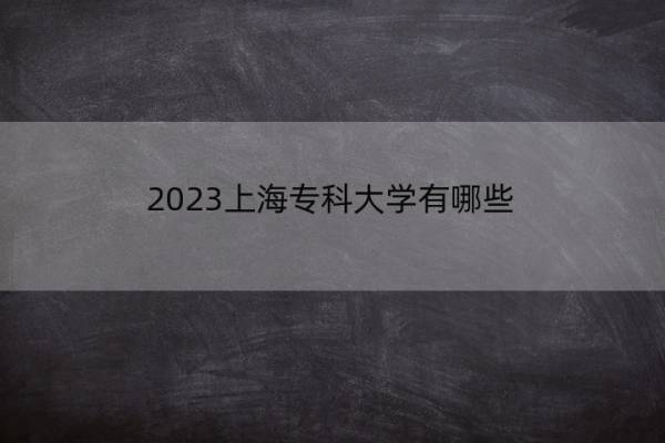 2023上海专科大学有哪些 上海专科院校名单
