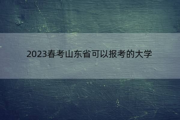 2023春考山东省可以报考的大学 山东春季高考本科招生院校名单