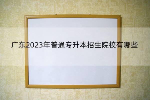 广东2023年普通专升本招生院校有哪些 广东2023年普通专升本招生院校名单
