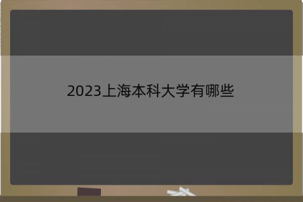 2023上海本科大学有哪些 上海本科大学名单