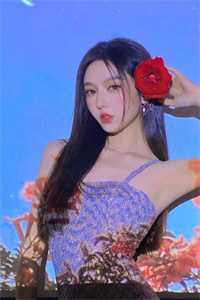 叶星辰周北寒《替嫁新娘宠上瘾》全文免费阅读_替嫁新娘宠上瘾全集在线阅读