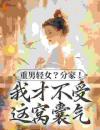 重男轻女？分家！我才不受这窝囊气水清孙金花by语乔乔全文免费阅读