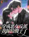 柳芸沈玖穿成恶女反派，我嫁给傻子了by狂野萝卜完整在线阅读