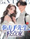 拳击手先生，轻点宠苏星悦陈宸小说完整篇在线阅读