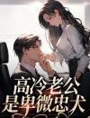 高冷老公是卑微忠犬by二伏无防盗章在线阅读
