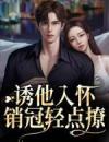 《安亦陈迹》小说免费试读《安亦陈迹》最新章节列表