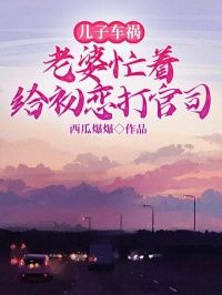 西瓜爆爆的小说《儿子车祸，老婆忙着给初恋打官司》全文阅读