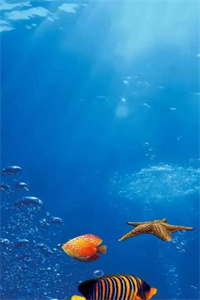 山山海海,终是过往：+结局+番外（苏青锋风芷柔）全文免费阅读无弹窗大结局_(山山海海,终是过往：+结局+番外)最新章节列表_笔趣阁（苏青锋风芷柔）