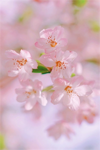 温颂顾聿风爱你如潮湿雨季：+结局+番外（温颂顾聿风）全文免费阅读无弹窗大结局_(温颂顾聿风爱你如潮湿雨季：+结局+番外)最新章节列表_笔趣阁（温颂顾聿风）